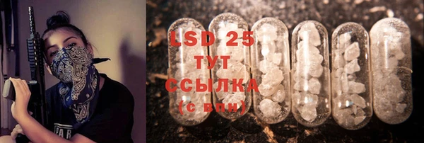 прущий лед Алзамай